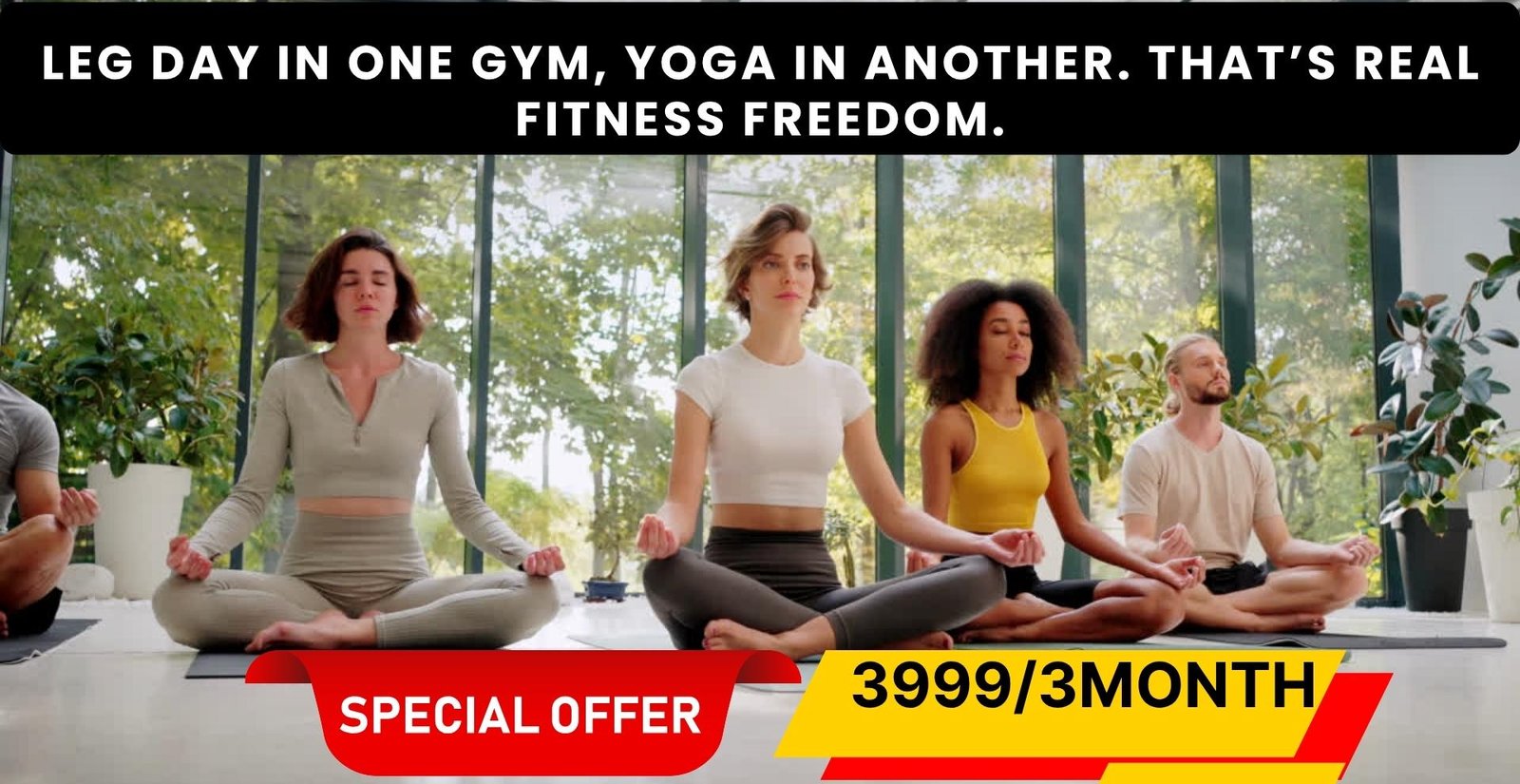 Special Offer